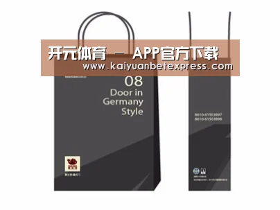 项目名称十四
