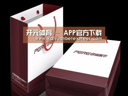 项目名称十二