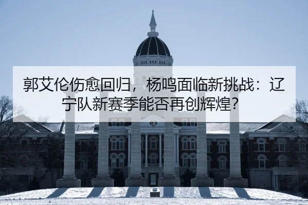 guo-ai-lun-shang-yu-hui-gui-yang-ming-mian-lin-xin-tiao-zhan-liao-ning-dui-xin-sai-ji-neng-fou-zai-chuang-hui-huang-2-397.jpg